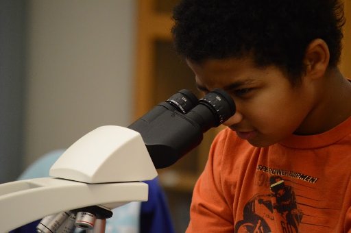 3rd grader looking in a microscope