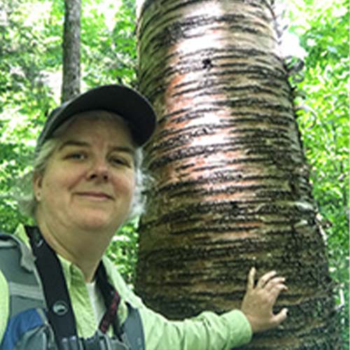 Julie Richburg