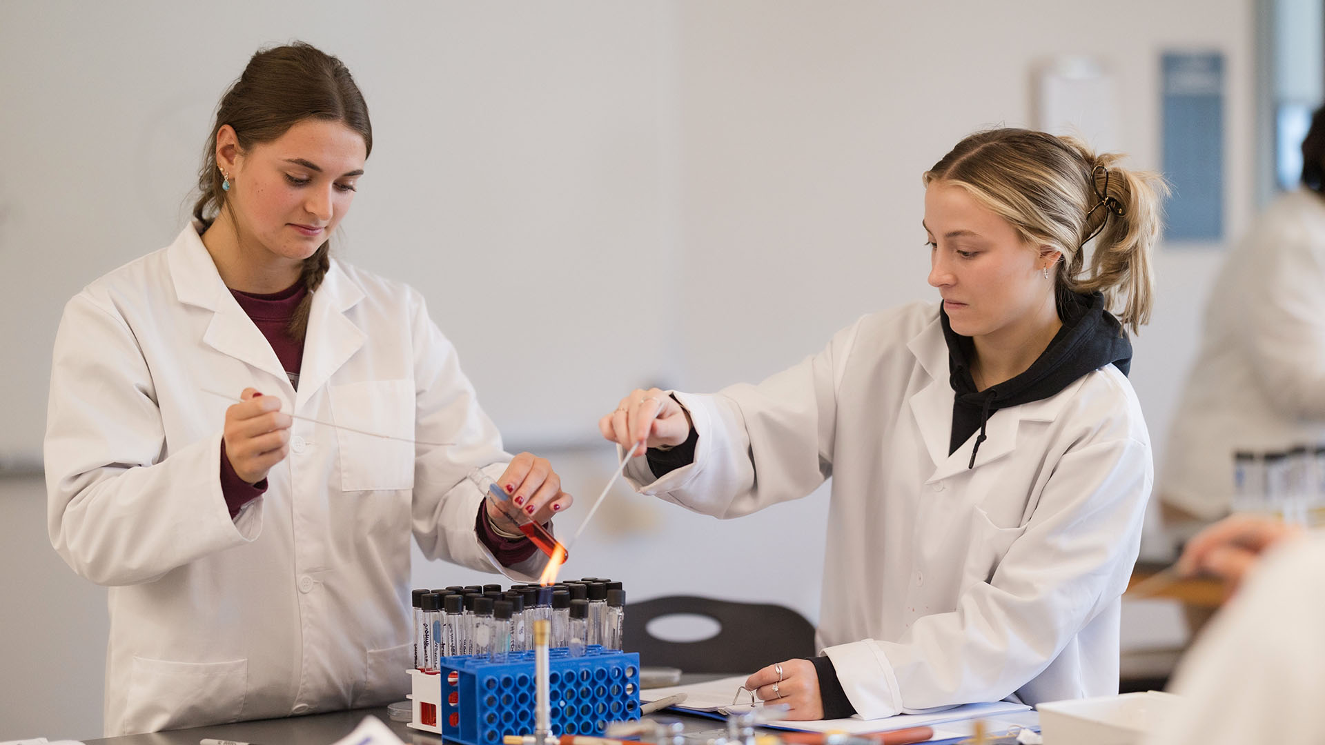 MCLA Biology students in the lab