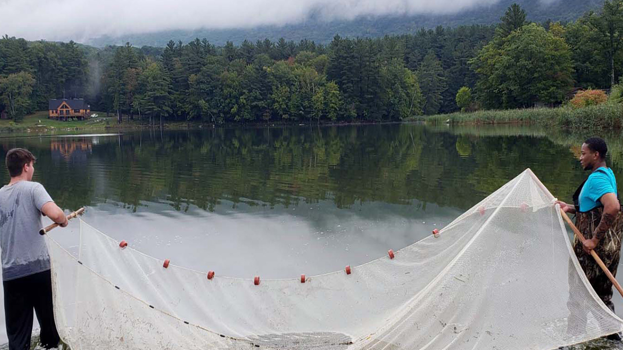 MCLA statue of the mascot, Murdock