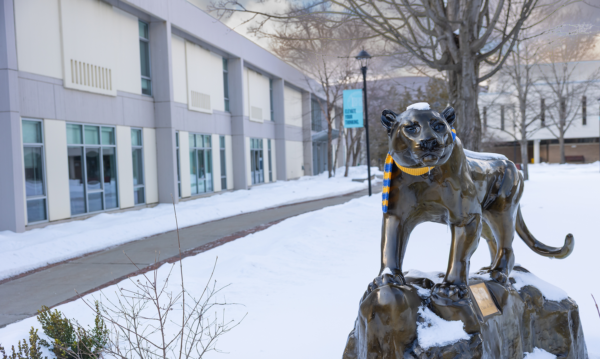 Murdock on a cold, snow day