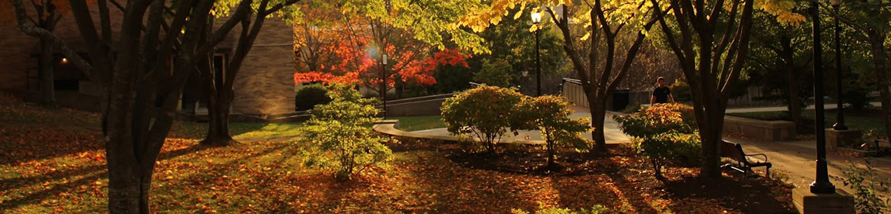 mcla campus in the fall
