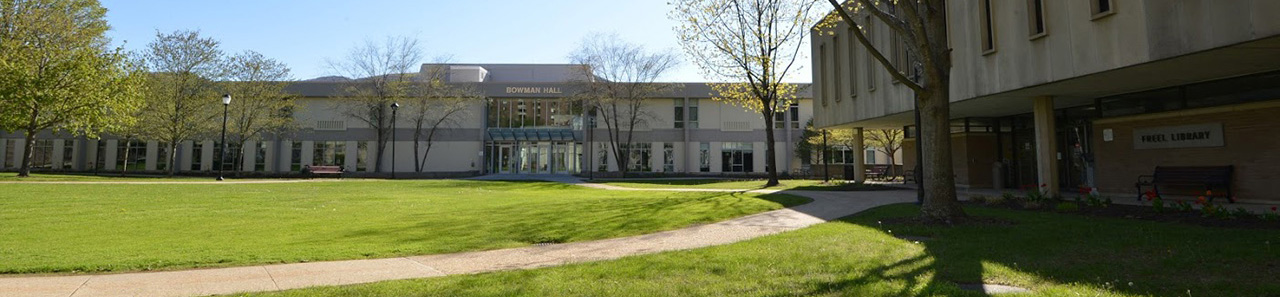 Paths to Freel Library and Bowman Hall