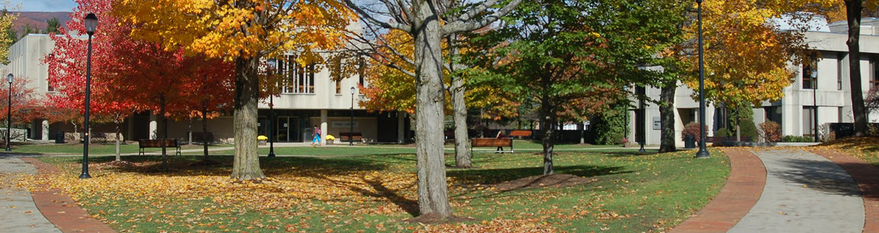 MCLA quad in fall