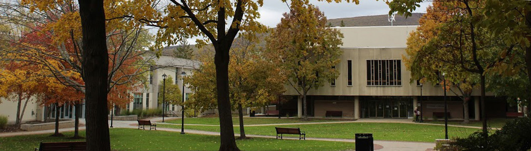 Fall on the quad facing the library