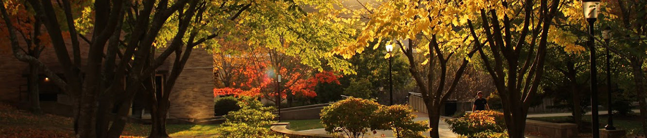 sunset on campus in autumn